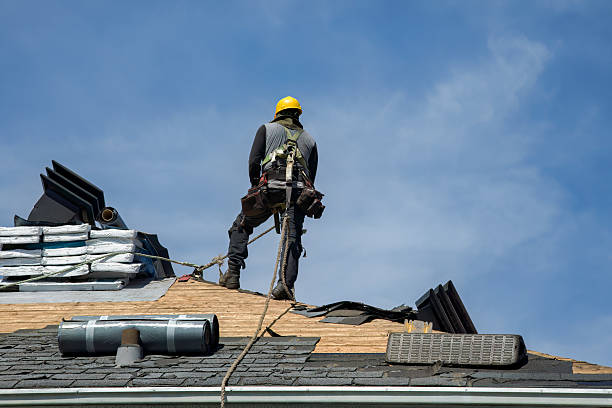 Professional Gutter Installation technician working in Valparaiso, NE